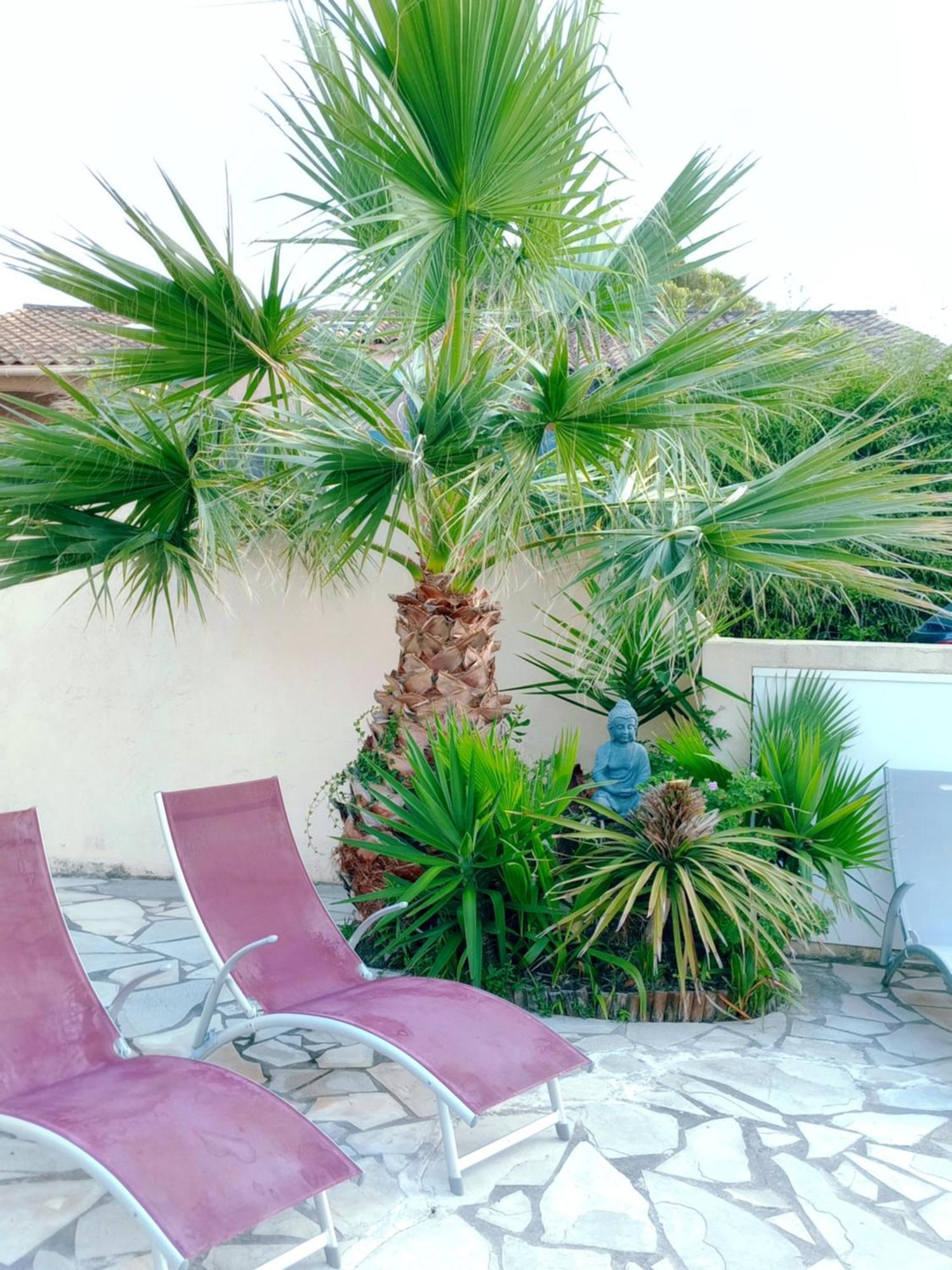 Ferienhaus Reve D'azur, 2 Chambres, Maison Julia En Bord De A La Nartelle, Piscine Partagee, Parking & Terrasse Bbq, Wifi Et Draps Inclus A Pied Sainte-Maxime